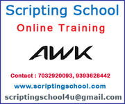 AWK Online Training Online Training Institute in Hyderabad India