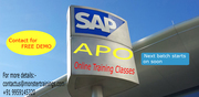SAP APO Online Training Classes
