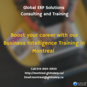 Business Intelligence Training in Montreal