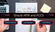 FCCS Online Training Course,  Hyperion Financial Management (HFM)